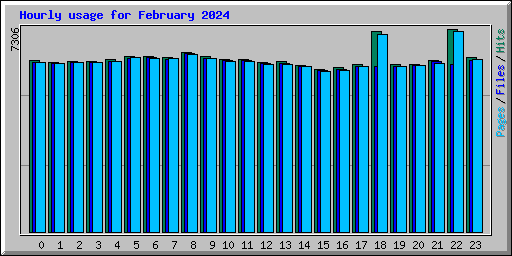 Hourly usage for February 2024